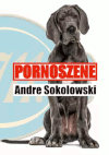 PORNOZENE von Andre Sokolowski